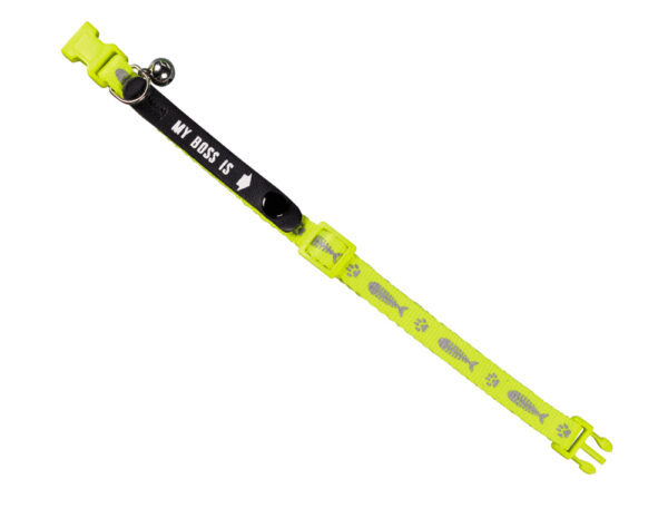 nobby-halsband-adress-katzenhalsband-my-boss-is-78070-03-tierbedarf-bvl-shop