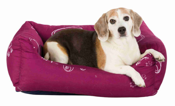 trixie-hundebett-bett-jolie-38240-38241-tierbedarf-bvl-shop