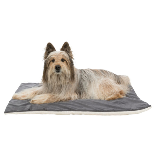 trixie-hundedecke-decke-lupo-37136-tierbedarf-bvl-shop