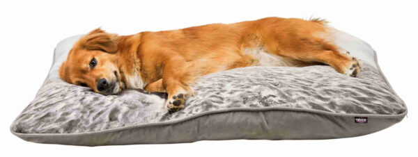 trixie-hundekissen-kissen-beach-36384-36386-tierbedarf-bvl-shop