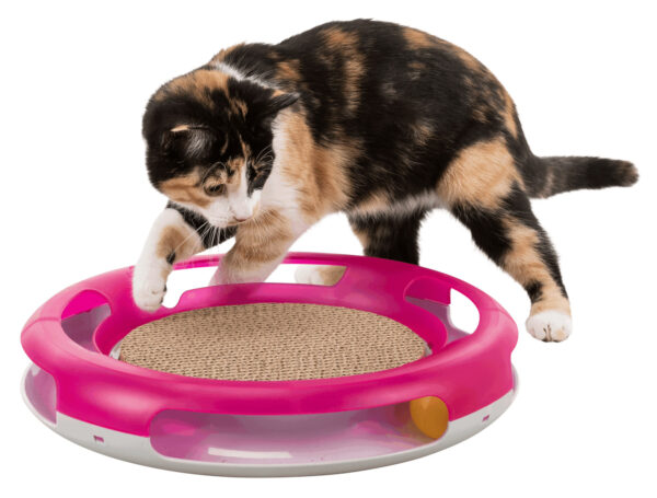 trixie-katzenspielzeug-race-scratch-41415-tierbedarf-bvl-shop