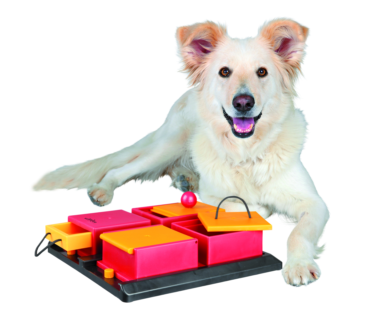Trixie Activity Poker Box Interactive Dog Toy, Level 2