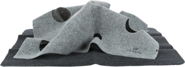 trixie-katzenspielzeug-adventure-carpet-45890-tierbedarf-bvl-shop