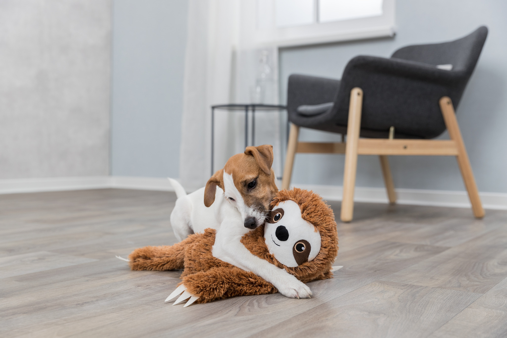 Trixie Hundespielzeug 35671 – Flauschiges XXL-Stofftier als idealer Schmusepartner direkt abholbar oder schnell geliefert im bvl Shop