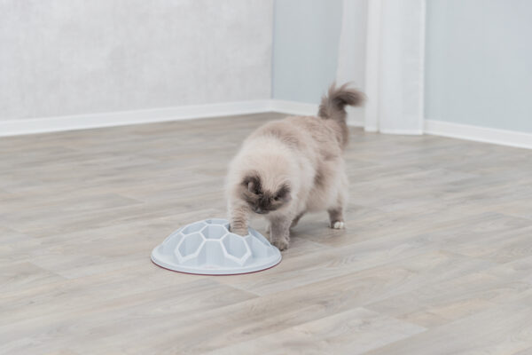 trixie-cat-activity-snack-hive-xxl-strategie-spiel