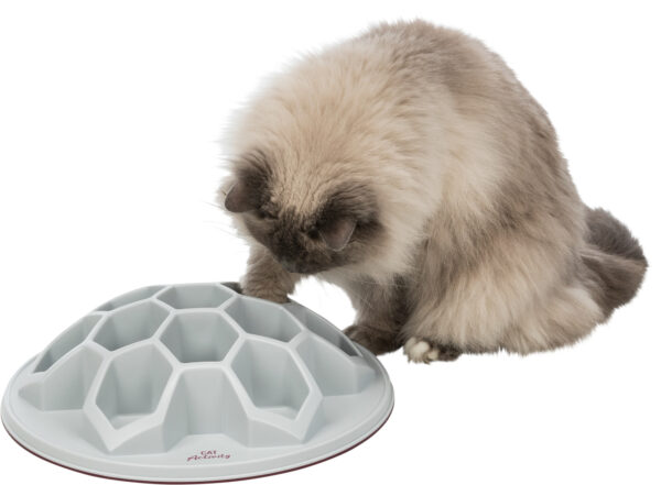 Trixie-katzenspielzeug-cat-activity-snack-hive-xxl-strategie-spiel-45893-tierbedarf-bvl-shop