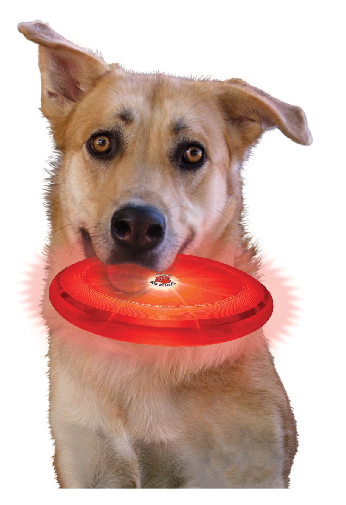 Optamit Dog Disc Hundefrisbee mit Farbwechsel
