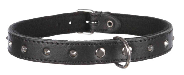 trixie-hundehalsband-basic-lederhalsband-mit-nieten-19601-19661-tierbedarf-bvl-shop