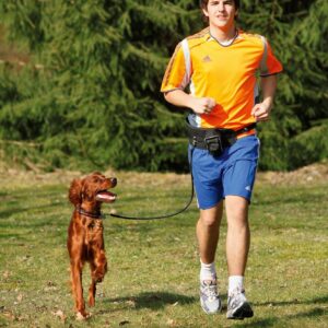 karlie-doggy-jogger