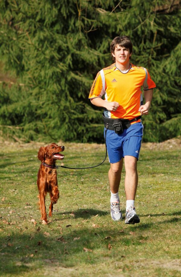 karlie-doggy-jogger