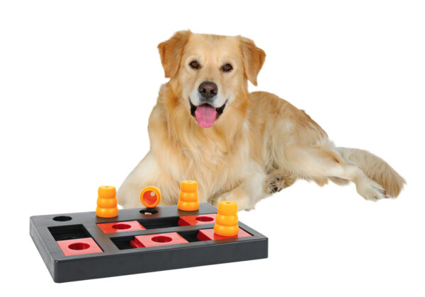 trixie-hundespielzeug-dog-activity-chess-strategie-spiel-32022-tierbedarf-bvl-shop