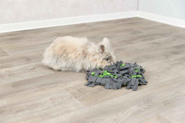 Trixie Schnüffelteppich - Grau/Grün 62818 – Bild 5