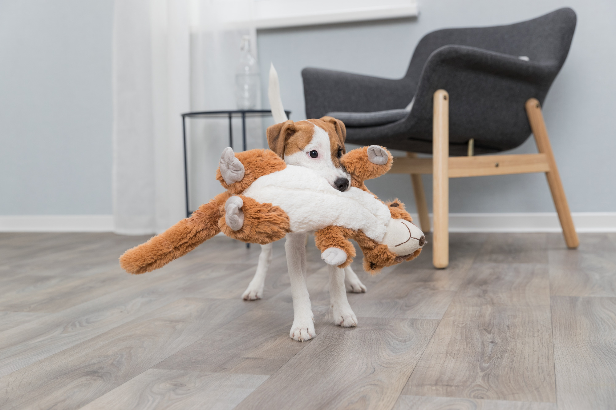 Trixie Hundespielzeug 35672 – Flauschiges XL-Stofftier als treuer Kuschelpartner direkt abholbar oder schnell geliefert im bvl Shop