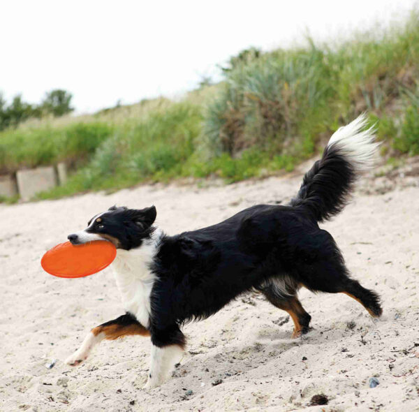 trixie-hundespielzeug-tpr-dog-disc-33505-33506-tierbedarf-bvl-shop