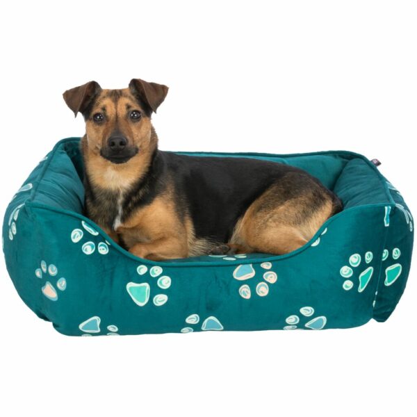 trixie-hundebett-be-eco-bett-jimmy-36641-36643-tierbedarf-bvl-shop