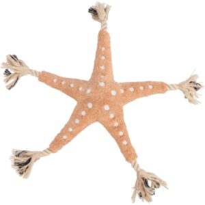 Das trixie hundespielzeug seestern 36046 Plüschtier im maritimen Design