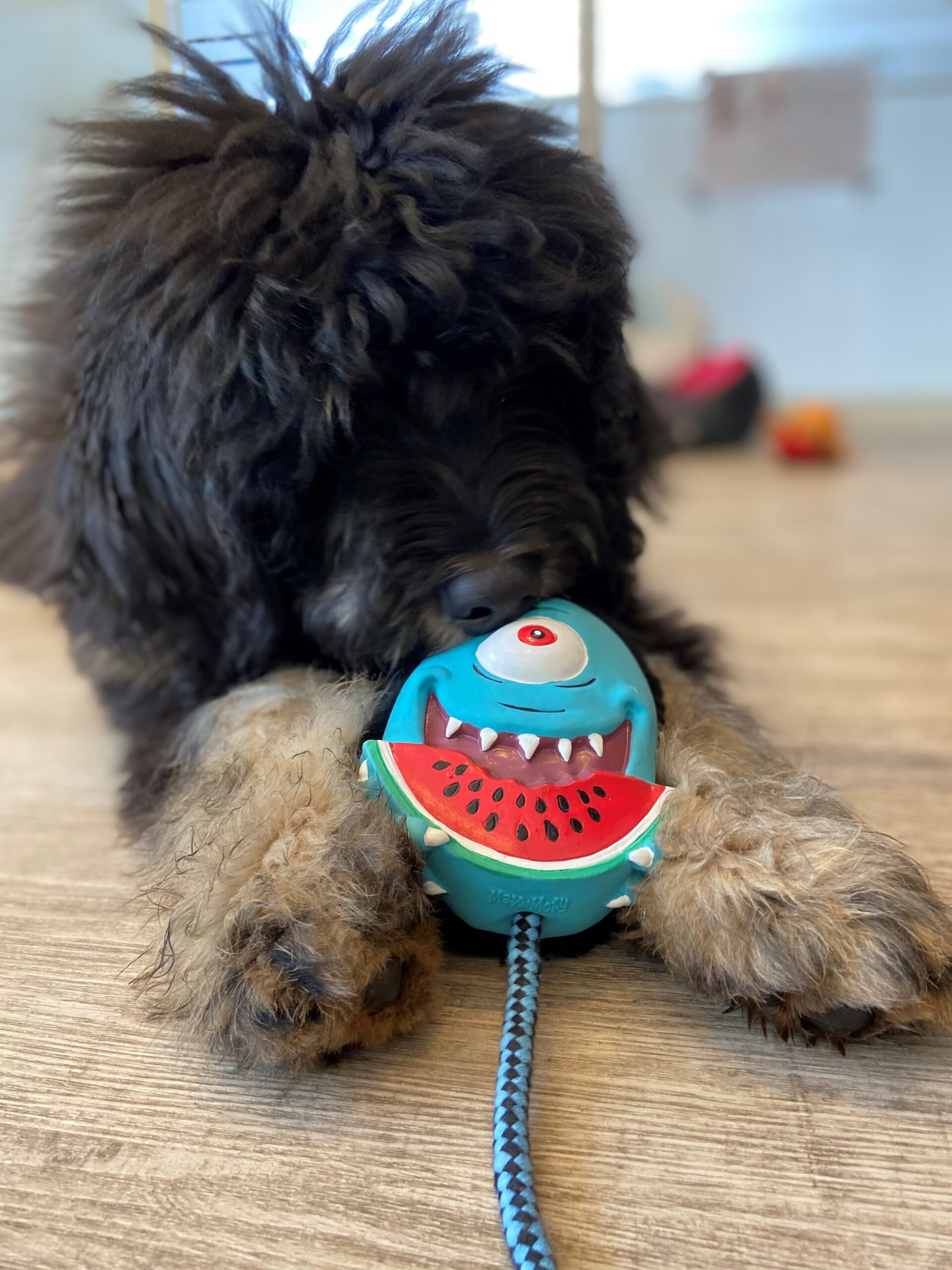Hundespielzeug mit Quietscher 708111 – Integrierter Squeaker im Inneren des max & molly Bubba King Kombi-Spielzeugs