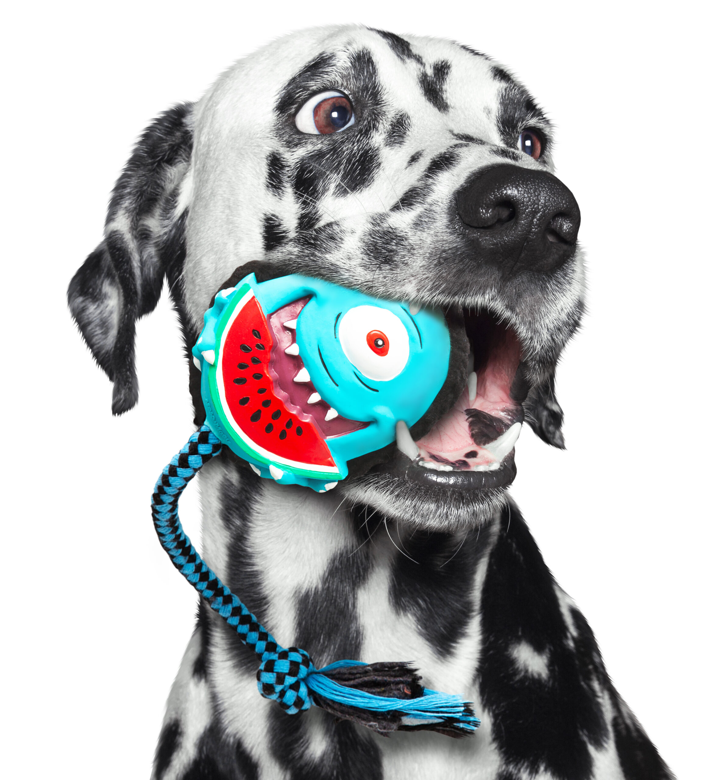 Zahnreinigendes Hundespielzeug Latex 708111 – Strukturierte TPR-Gummirückseite mit Noppen zur spielerischen Zahnpflege