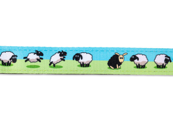 max-&-molly-hundegeschirr-original-h-geschirr-black-sheep-189013-189016-tierbedarf-bvl-shop