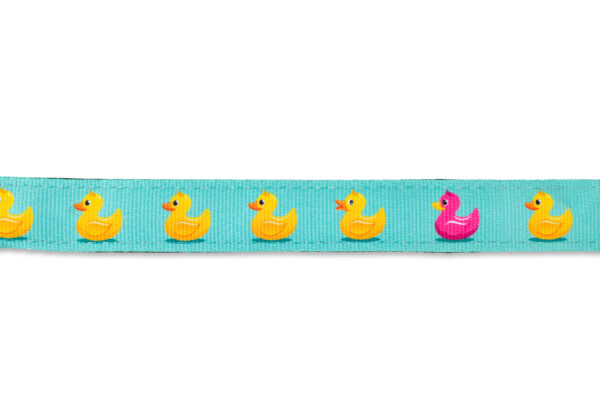 max-&-molly-original-smart-id-halsband-ducklings