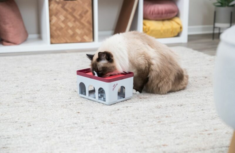trixie-cat-activity-rod-box-strategie-spiel