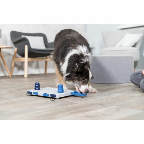 trixie-hundespielzeug-dog-activity-move2win-strategie-spiel-32025-tierbedarf-bvl-shop