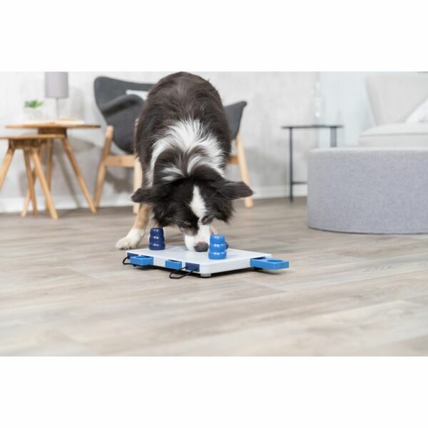 trixie-hundespielzeug-dog-activity-move2win-strategie-spiel-32025-tierbedarf-bvl-shop