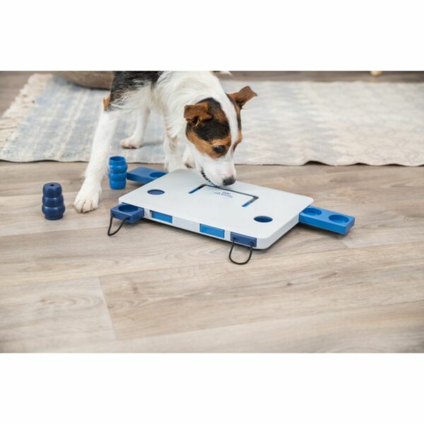 trixie-hundespielzeug-dog-activity-move2win-strategie-spiel-32025-tierbedarf-bvl-shop