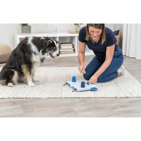 trixie-hundespielzeug-dog-activity-move2win-strategie-spiel-32025-tierbedarf-bvl-shop