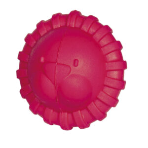 nobby hundespielzeug ball 60017 – Nobby Ball Löwe und Befüllbarer Hundeball Gummi