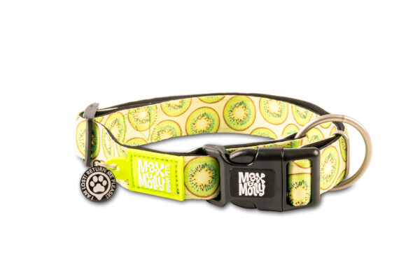 max-&-molly-original-smart-id-halsband-kiwi