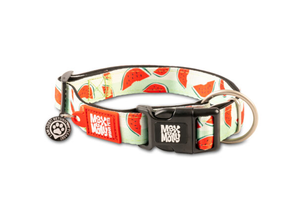 max-&-molly-original-smart-id-halsband-watermelon