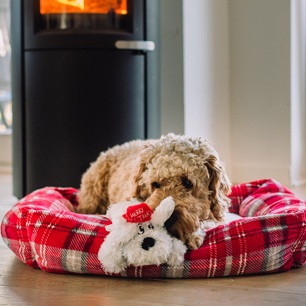 Nobby Hund Schlappi Hundespielzeug Stoff Weihnachten