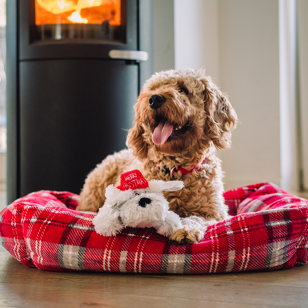 Nobby Hundespielzeug mit Quietscher Schlappi Weihnachten