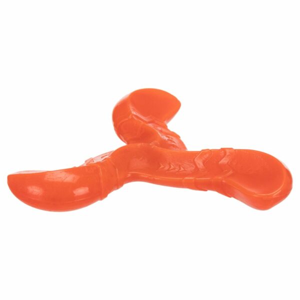 trixie-hundespielzeug-tpr-bungee-boomerang-triplex-32910-tierbedarf-bvl-shop