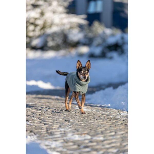 trixie-hundepullover-pullover-citystyle-berlin-680180-680190-tierbedarf-bvl-shop
