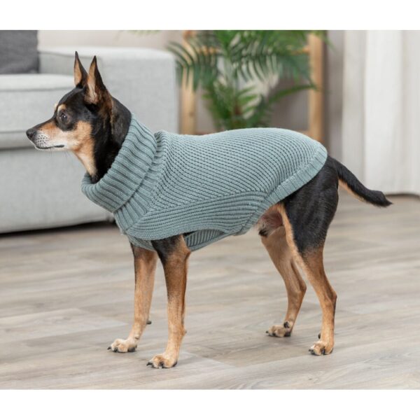 trixie-hundepullover-pullover-citystyle-berlin-680180-680190-tierbedarf-bvl-shop