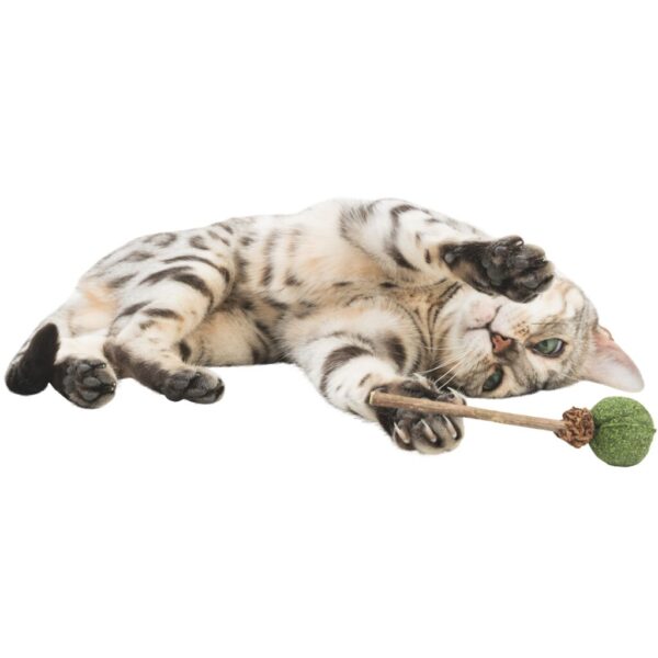 trixie-katzenspielzeug-lolli-mit-matatabi-und-catnip-42430-tierbedarf-bvl-shop