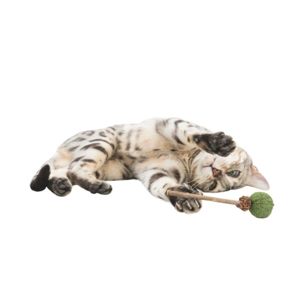 trixie-katzenspielzeug-lolli-mit-matatabi-und-catnip-42430-tierbedarf-bvl-shop