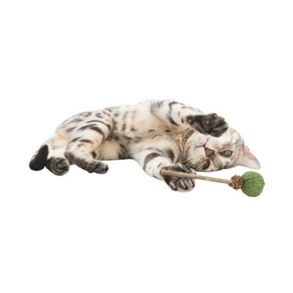 trixie-katzenspielzeug-lolli-mit-matatabi-und-catnip-42430-tierbedarf-bvl-shop