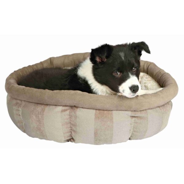 trixie-hundebett-bett-leona-37409-tierbedarf-bvl-shop