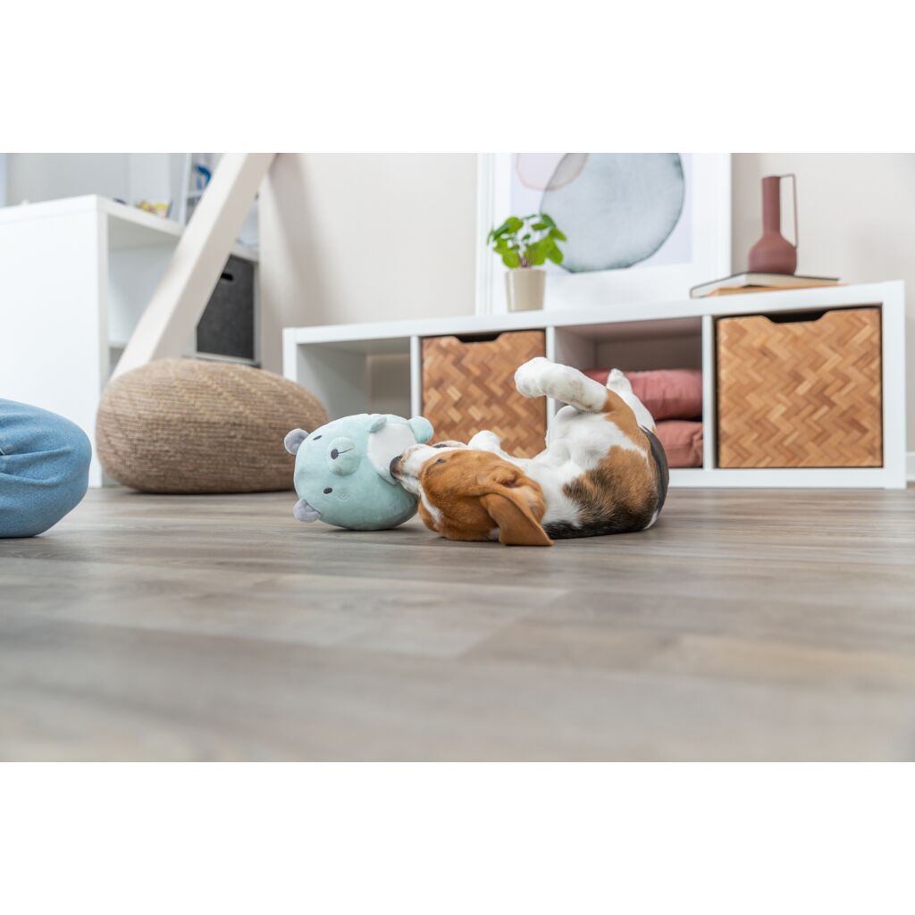 Das Trixie Junior Bär Stofftier im bvl Shop Dominik Lang in Offenhausen