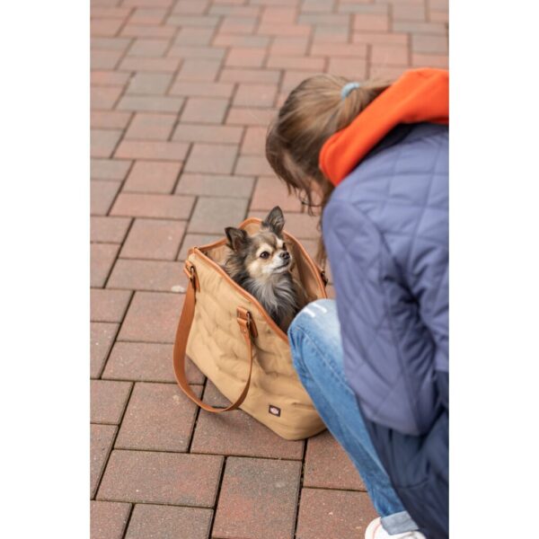 trixie-unterwegs-tasche-cassy-28844-tierbedarf-bvl-shop