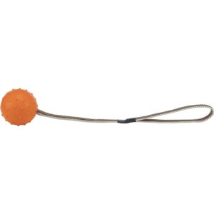trixie ball 32820 – Trixie Ball Gurt und Hundespielzeug zum Weitwerfen