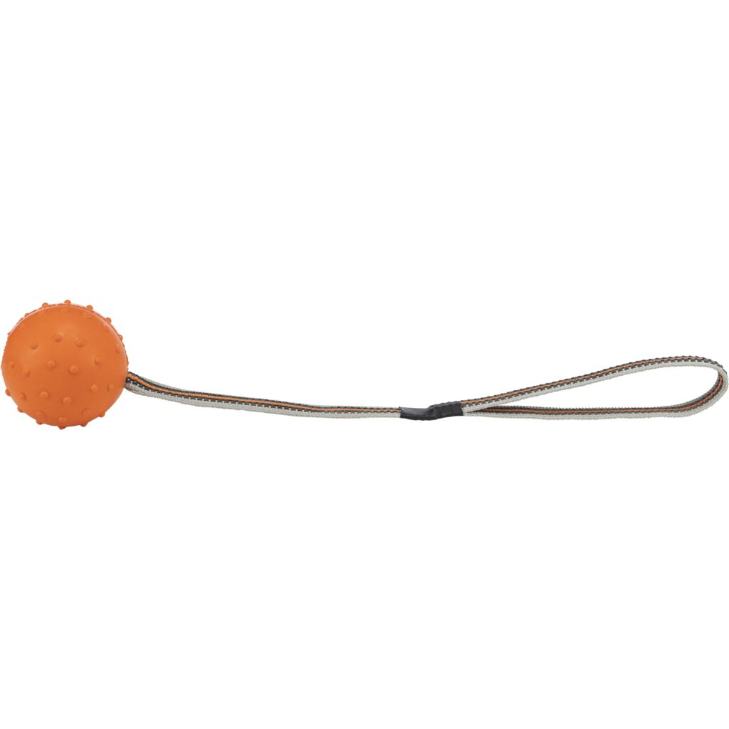 trixie ball 32820 – Trixie Ball Gurt und Hundespielzeug zum Weitwerfen