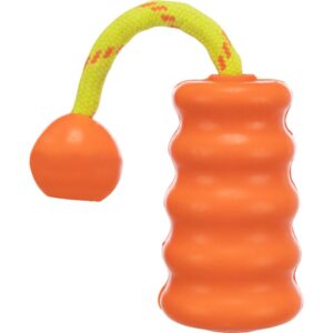 trixie hundespielzeug mot 3236 – Schwimmendes Motivationsspielzeug Hund aus Naturgummi