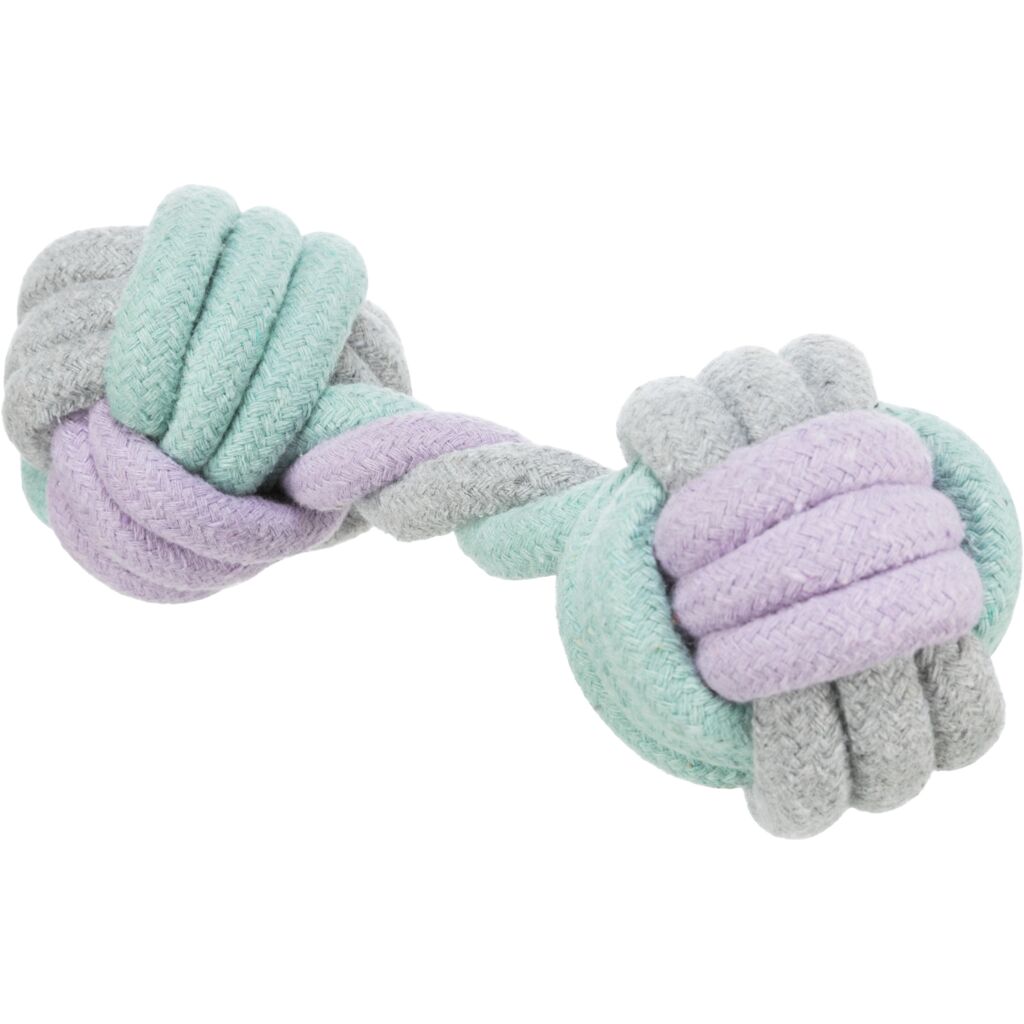 Trixie Junior Hantel 32815 – Kauseil zur Zahnpflege im 22 cm Format für größere Welpen