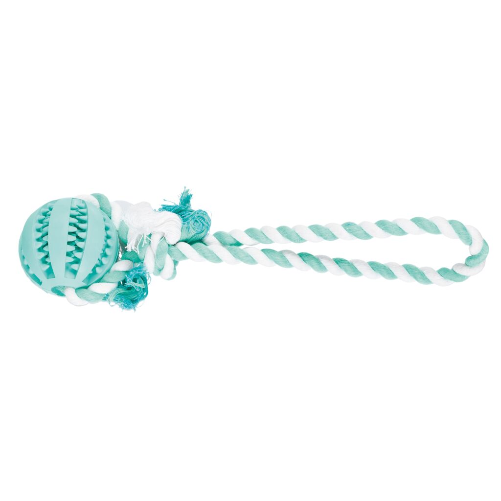 Trixie Ball am Tau 3299 – Kleiner Zahnpflegeball Hund aus Naturgummi mit praktischer Kordel