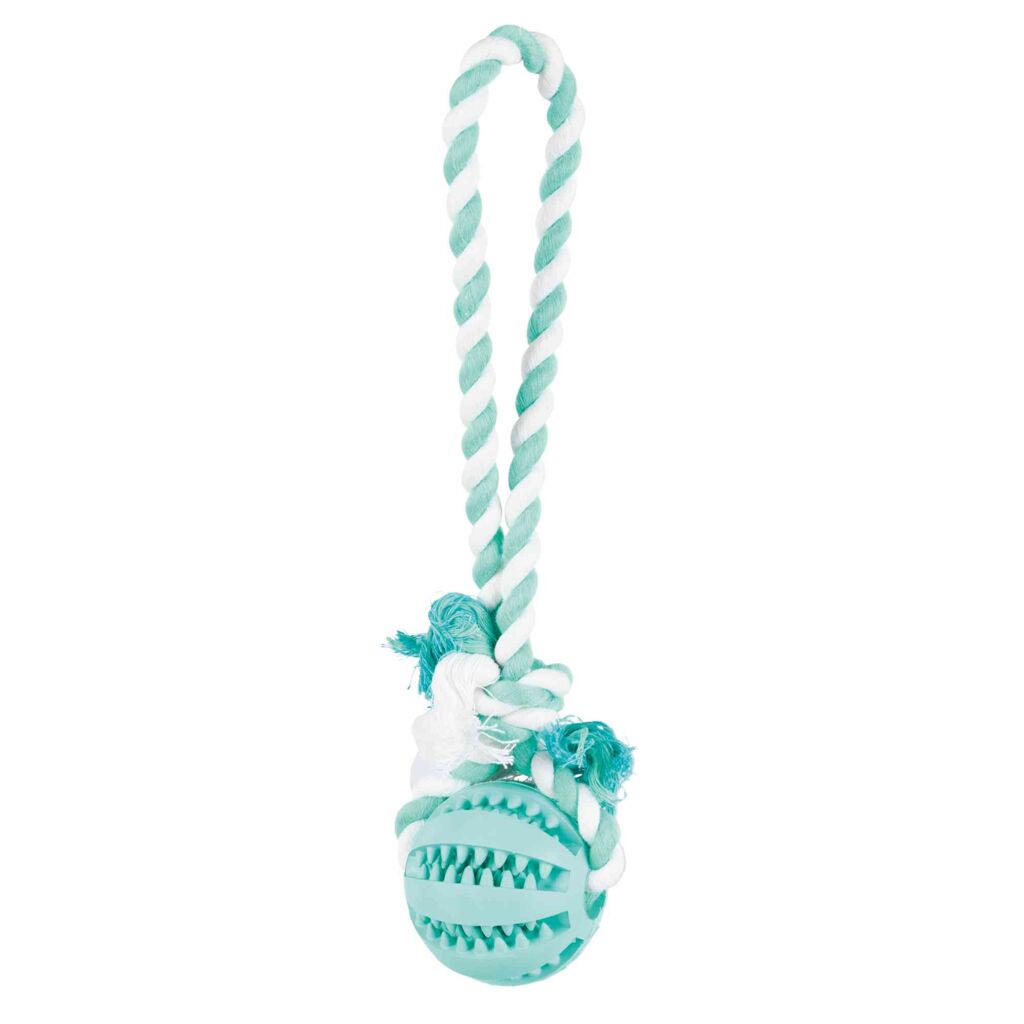 trixie hundespielzeug ball 3299 – Trixie Ball Minze und Hundespielzeug zur Zahnpflege