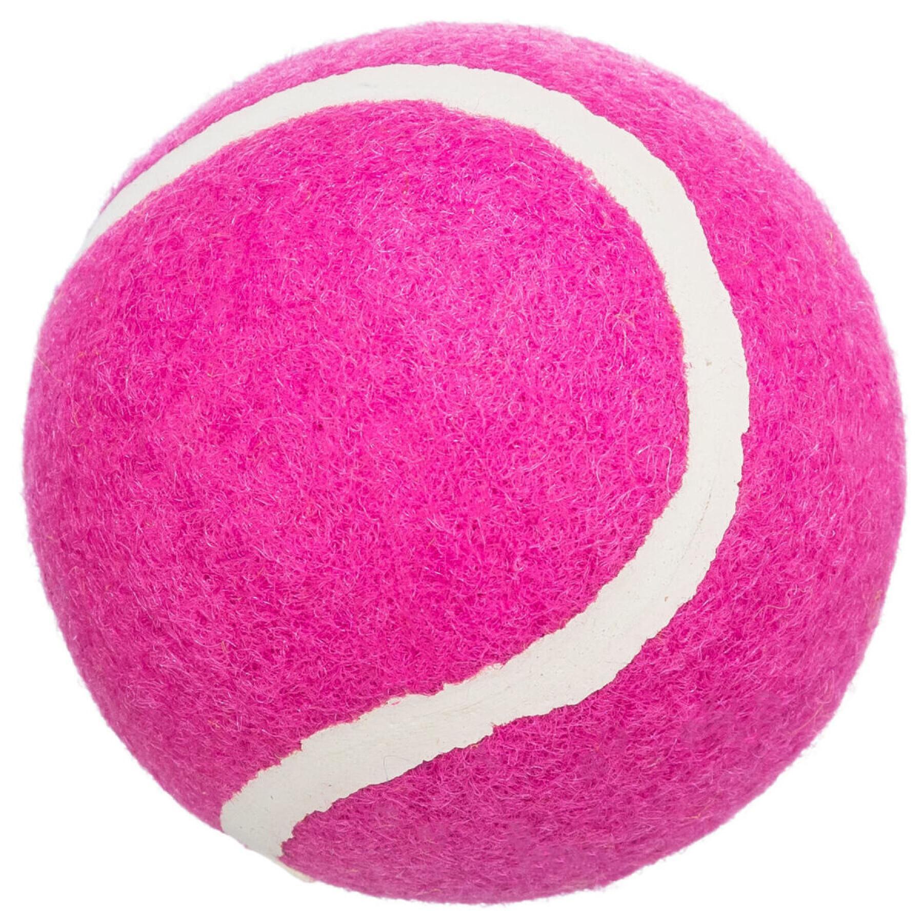 Hundespielzeug zum Apportieren 34789 – Formtreuer ø 6 cm Sportball mit tollen Sprungeigenschaften für die Wiese